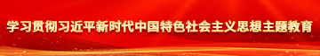 www美女小逼逼学习贯彻习近平新时代中国特色社会主义思想主题教育